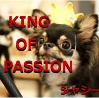 KING OF PASSION